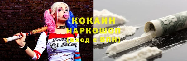 apvp Алзамай