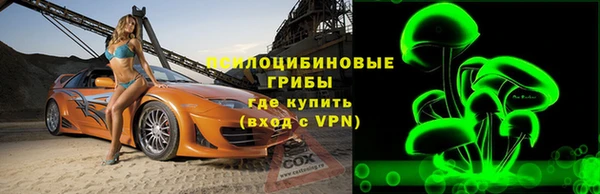 apvp Алзамай