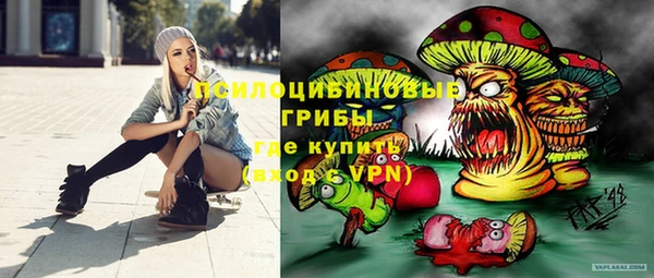 apvp Алзамай