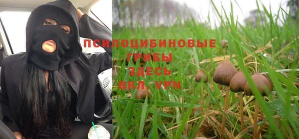 apvp Алзамай